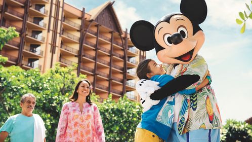 DVC Members can now pay dues via credit card