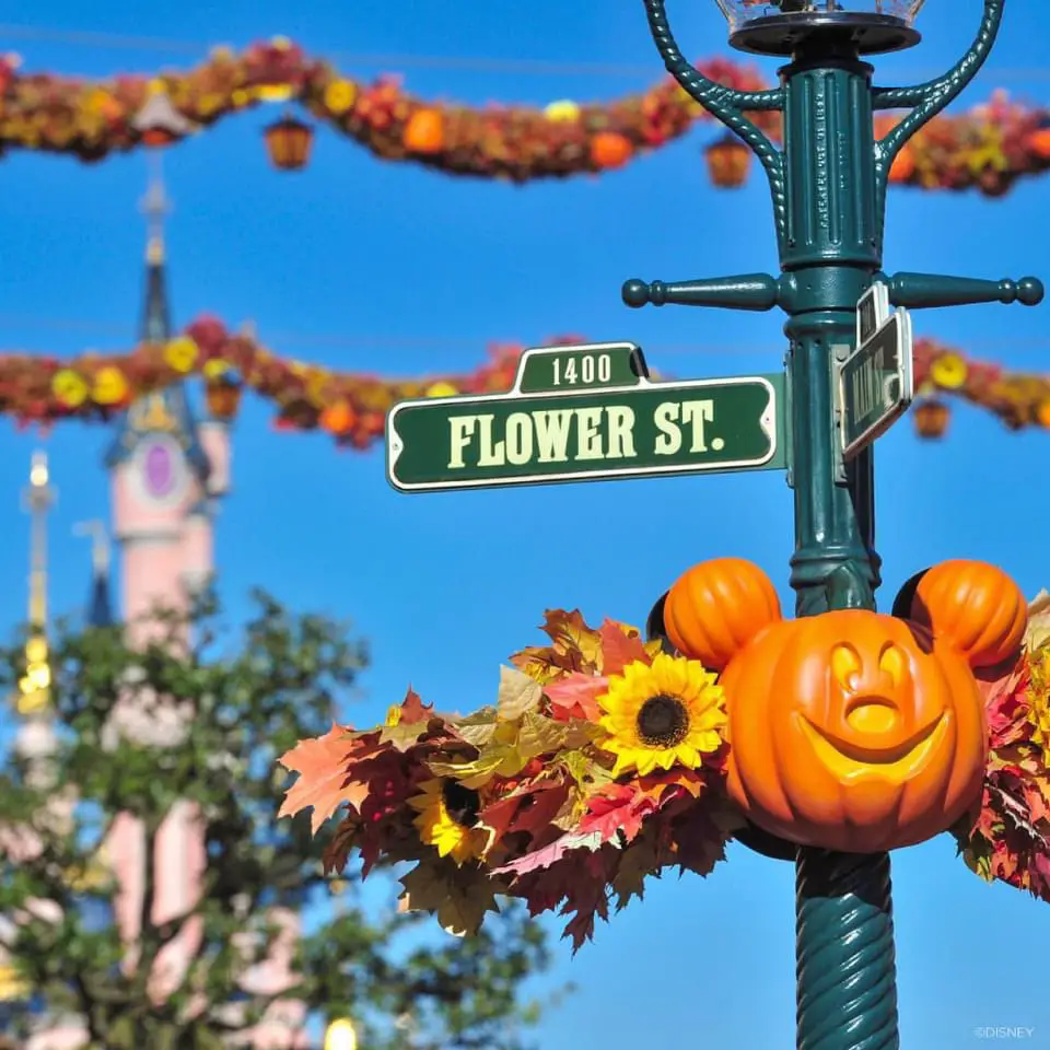 Selfie Spots Return To Disney’s Halloween Festival In Disneyland Paris!