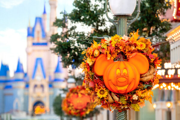 Capture the ultimate Halloween and Holiday memories thanks to a special Memory Maker offer!