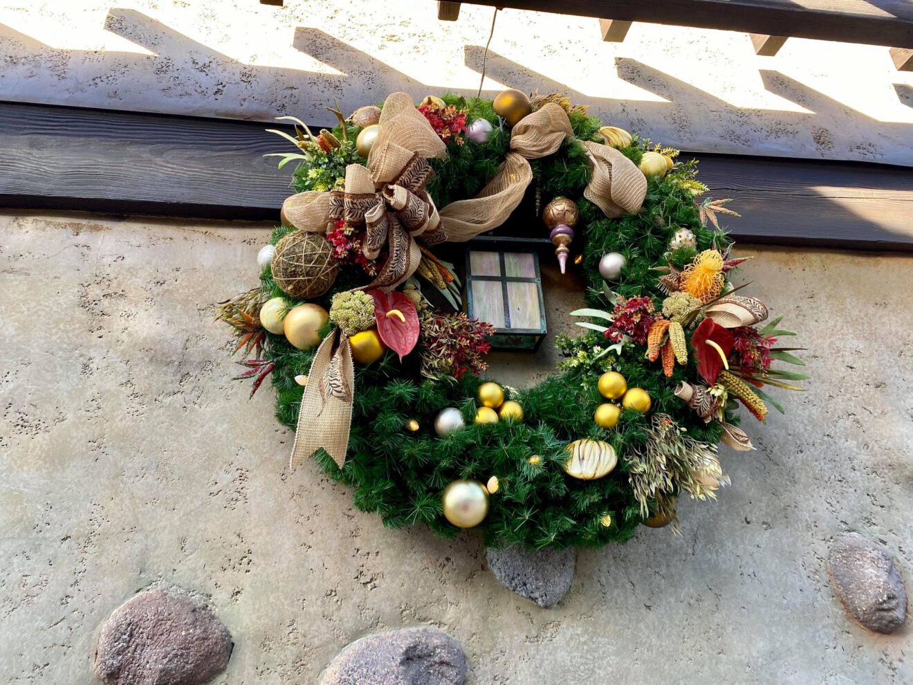Disney's Animal Kingdom decorated for the Holidays | Chip and Company