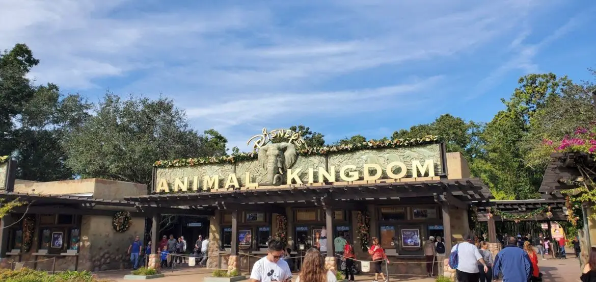 Florida Man charged with attacking Disney Security in the Animal Kingdom while under influence of LSD