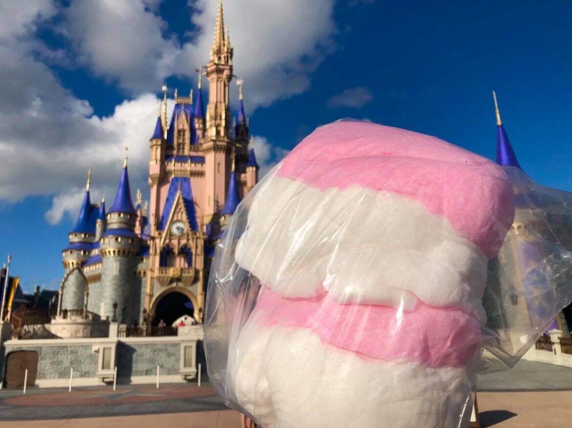 Holiday Cotton Candy at the Magic Kingdom