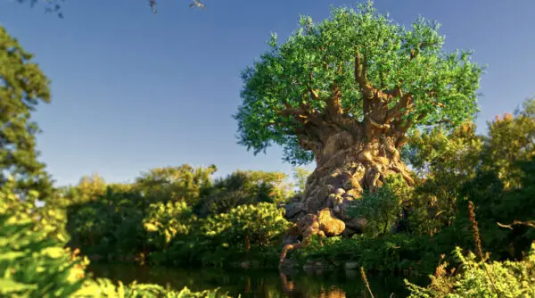 Walt Disney World Releases Park Hours Through Jan. 30, 2021