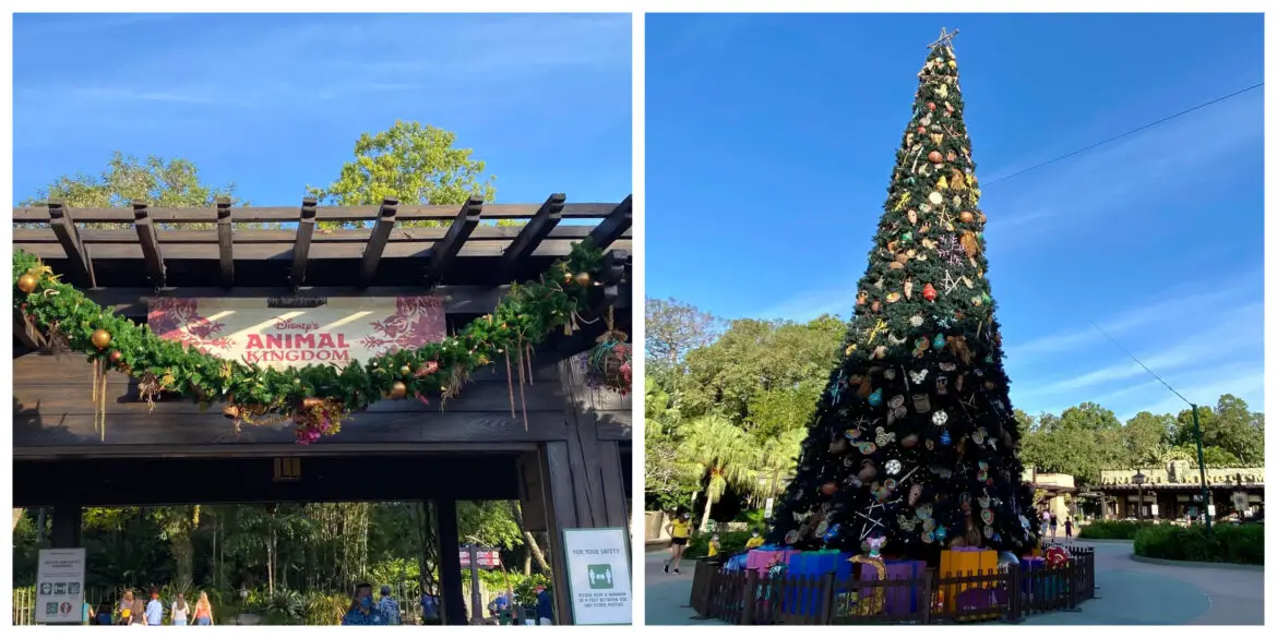 Disney’s Animal Kingdom decorated for the Holidays