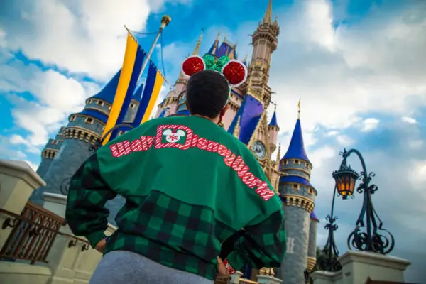 ShopDisney offering Same Day Delivery Service through Instacart