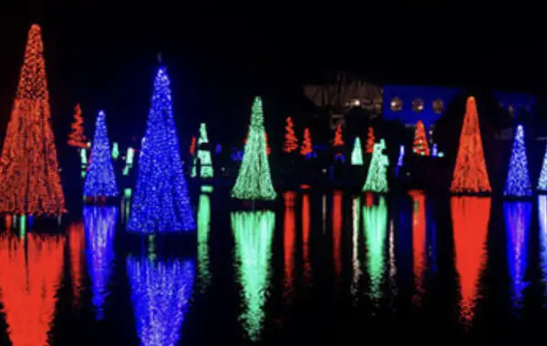 Modified Christmas Celebration at SeaWorld Orlando