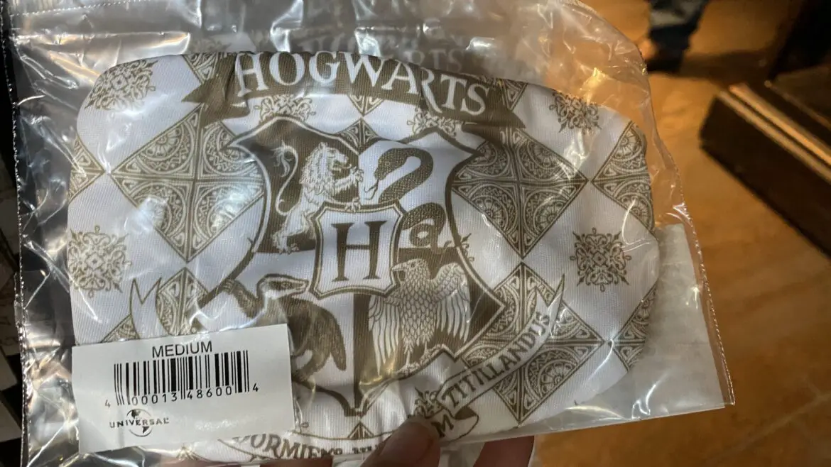 The New Harry Potter Merchandise at Universal is Your Ticket to Hogwarts