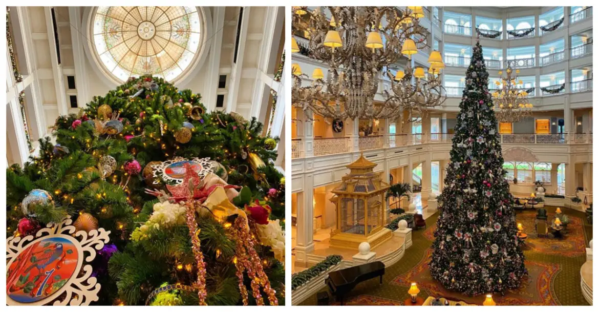 Watch as the Stunning Grand Floridian Christmas Tree goes up
