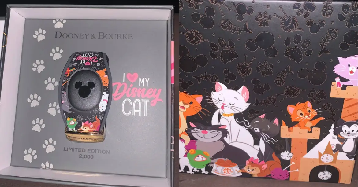 The Disney Cats MagicBand By Dooney And Bourke Is Purr-fection!