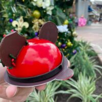 Mickey Mousse cake