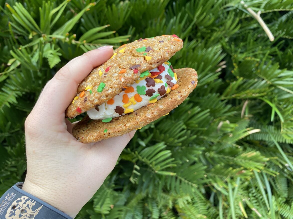 Fall Into Fall With The Pumpkin Ice Cream Sandwich At Disney’s Animal Kingdom