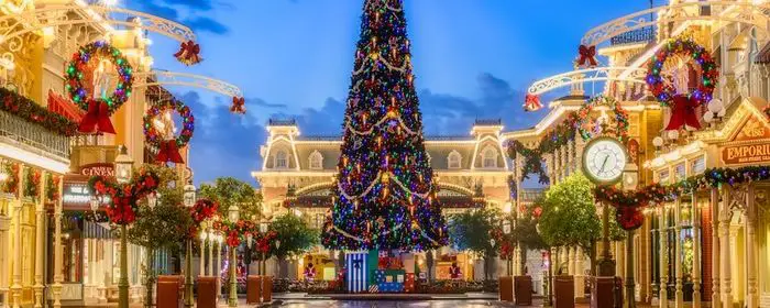 Watch as Disney World transforms from Halloween to Christmas!