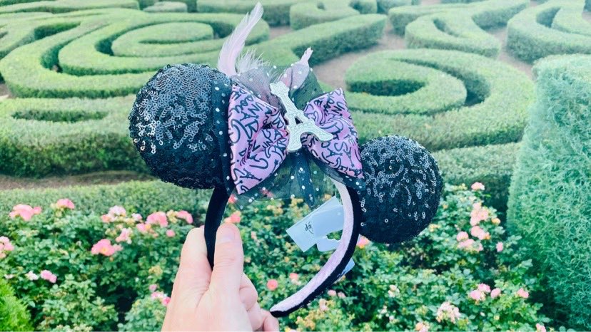 Oh La La, Stunning New France Minnie Ears From Epcot