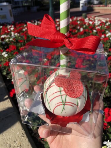 HUGE Happy Holidays Cake Pop Available at the Grand Floridian