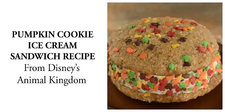 Pumpkin Cookie Ice Cream Sandwich Recipe From Disney’s Animal Kingdom