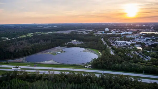 Disney World Solar