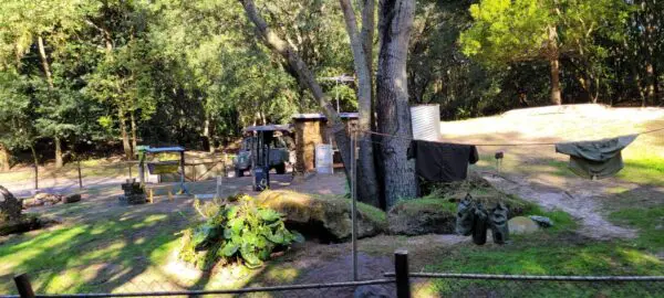 New items added to upcoming goat exhibit in the Animal Kingdom!
