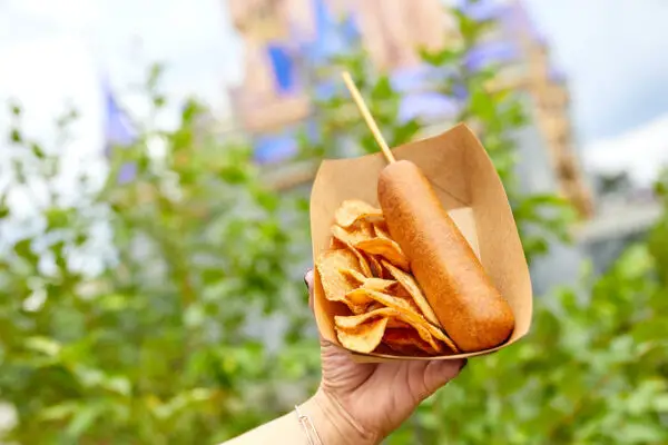 New and Returning Fan Favorite Food Items now available at the Magic Kingdom