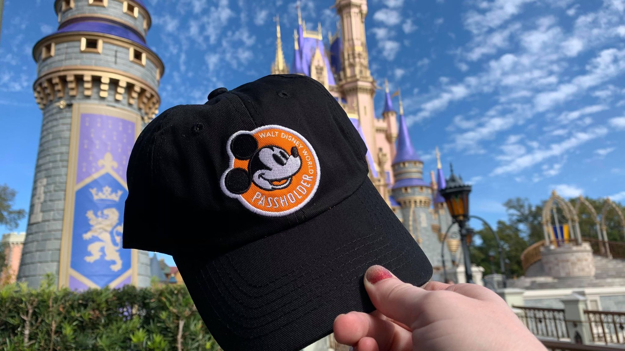 New Annual Passholder Minnie Ears, Hat, and Pin Have Arrived!