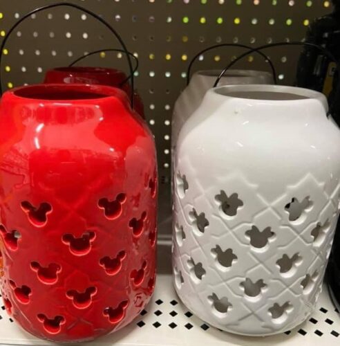 New Disney Garden Decorations Now Available At Dollar General