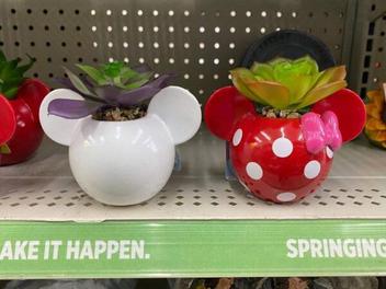 Dollar General - Bring the magic of Disney home with this