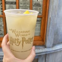 The Wizarding World of Harry Potter Ultimate Dining Guide