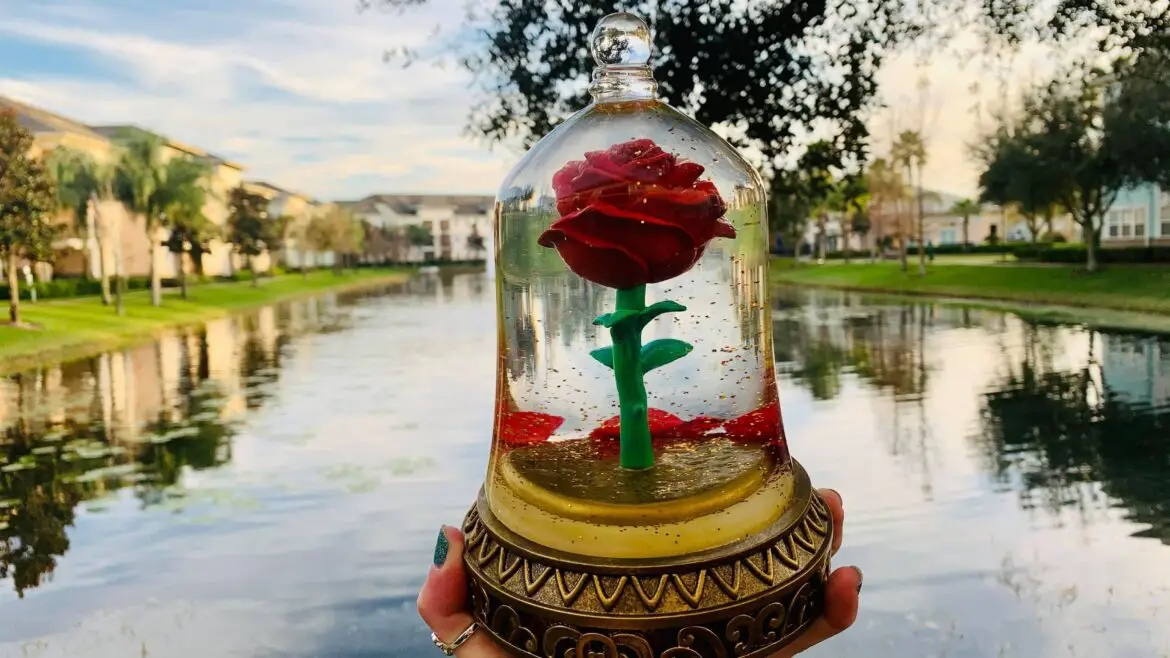 Enchanted Rose Snow Globe From The New Beauty And The Beast Collection