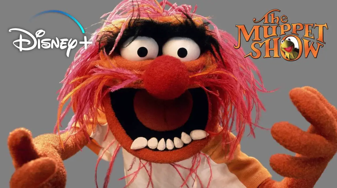 ‘The Muppet Show’ Features Content Warning and Missing Episodes on Disney+