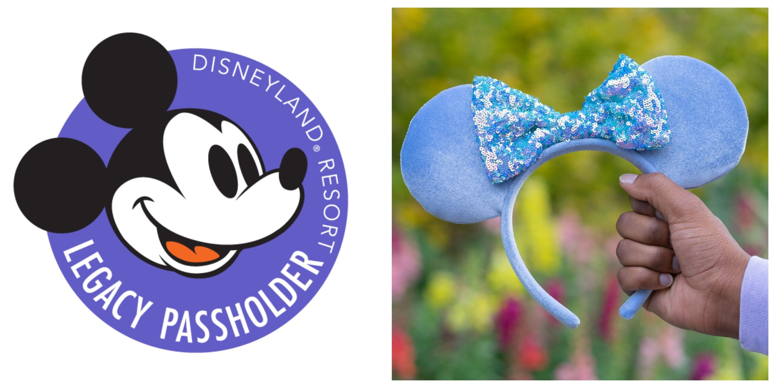 Disneyland Annual Passholder 30% off discount extended