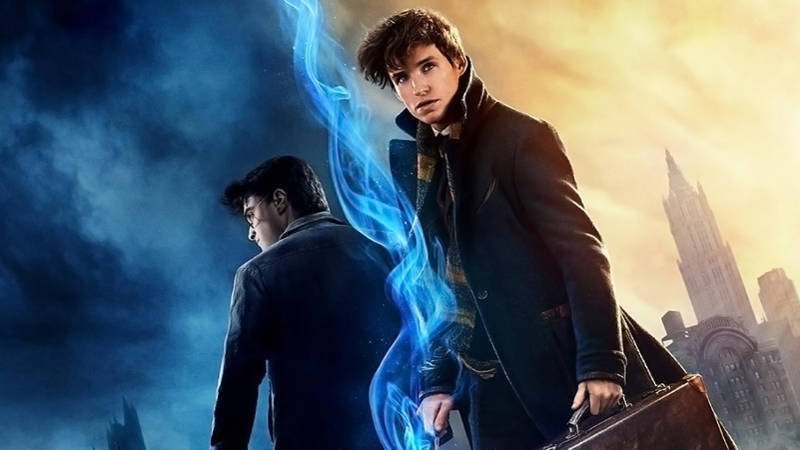 Harry Potter and Newt Scamander from the Wizarding World