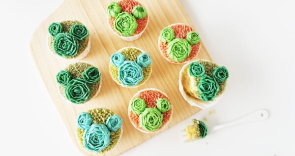 Hidden Mickey succulent cupcakes