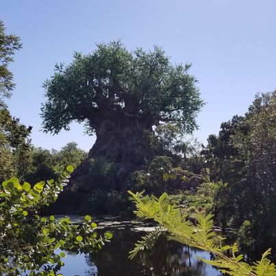 It's Tough to be a Bug in Disney's Animal Kingdom closing for a short refurb in March