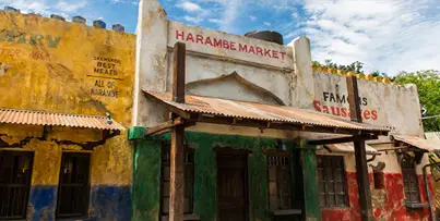 Inside the Harambe Market at Disney's Animal Kingdom, where there are different booths to get food 