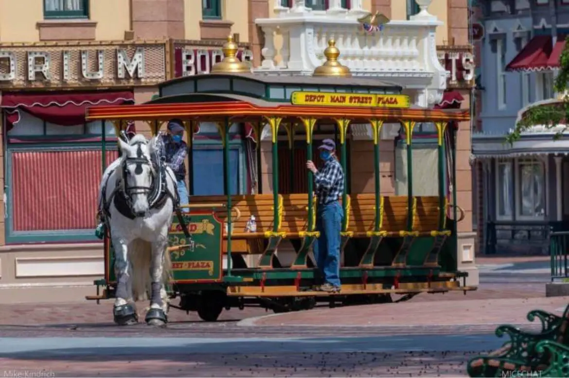 Disneyland horses return to work on Main Street USA in Disneyland