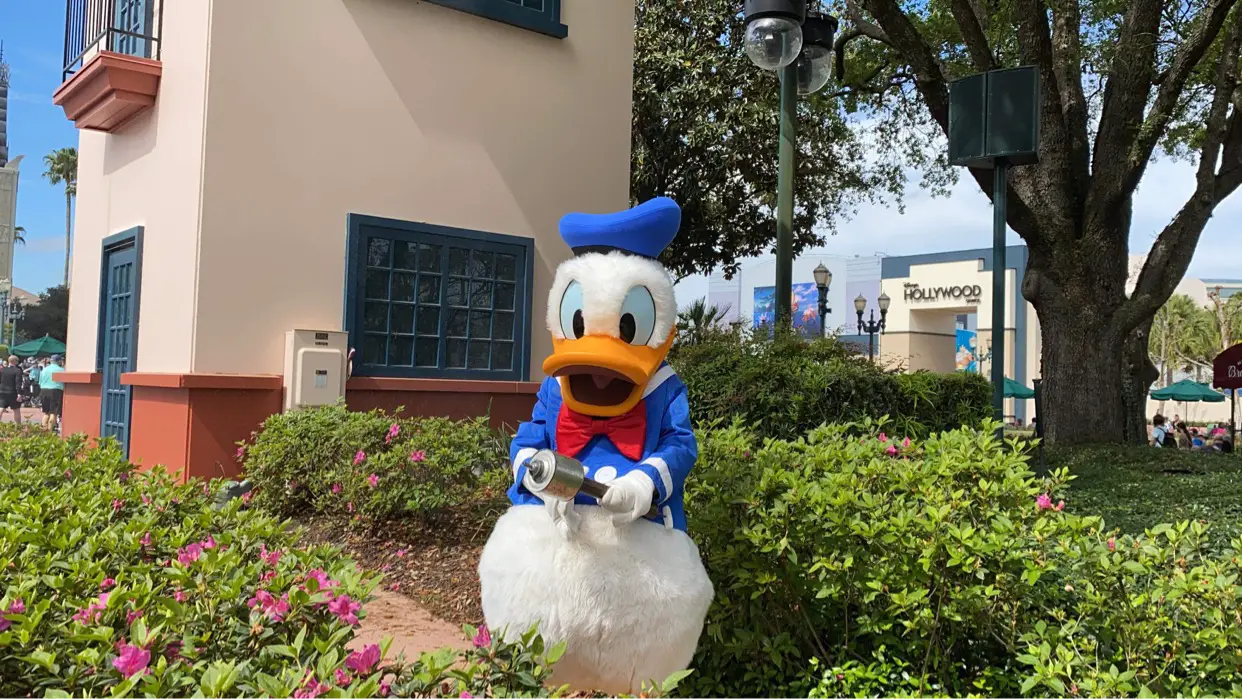 Donald Duck Hollywood Studios