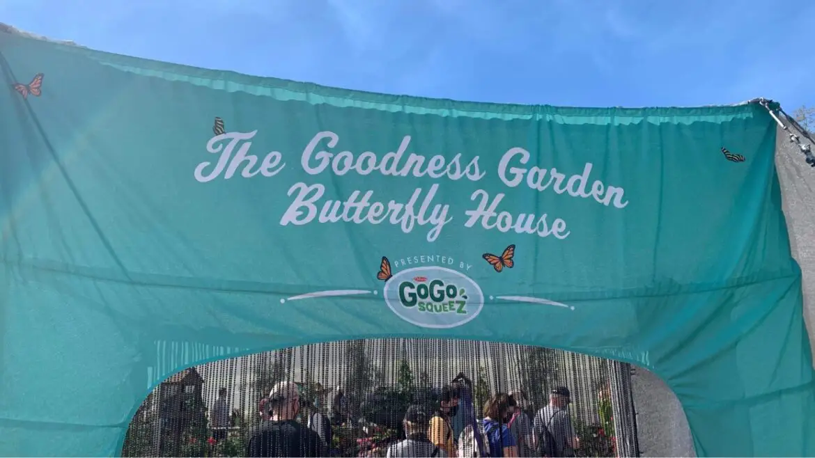 Tour the Butterfly Garden at Epcot’s Flower and Garden Festival