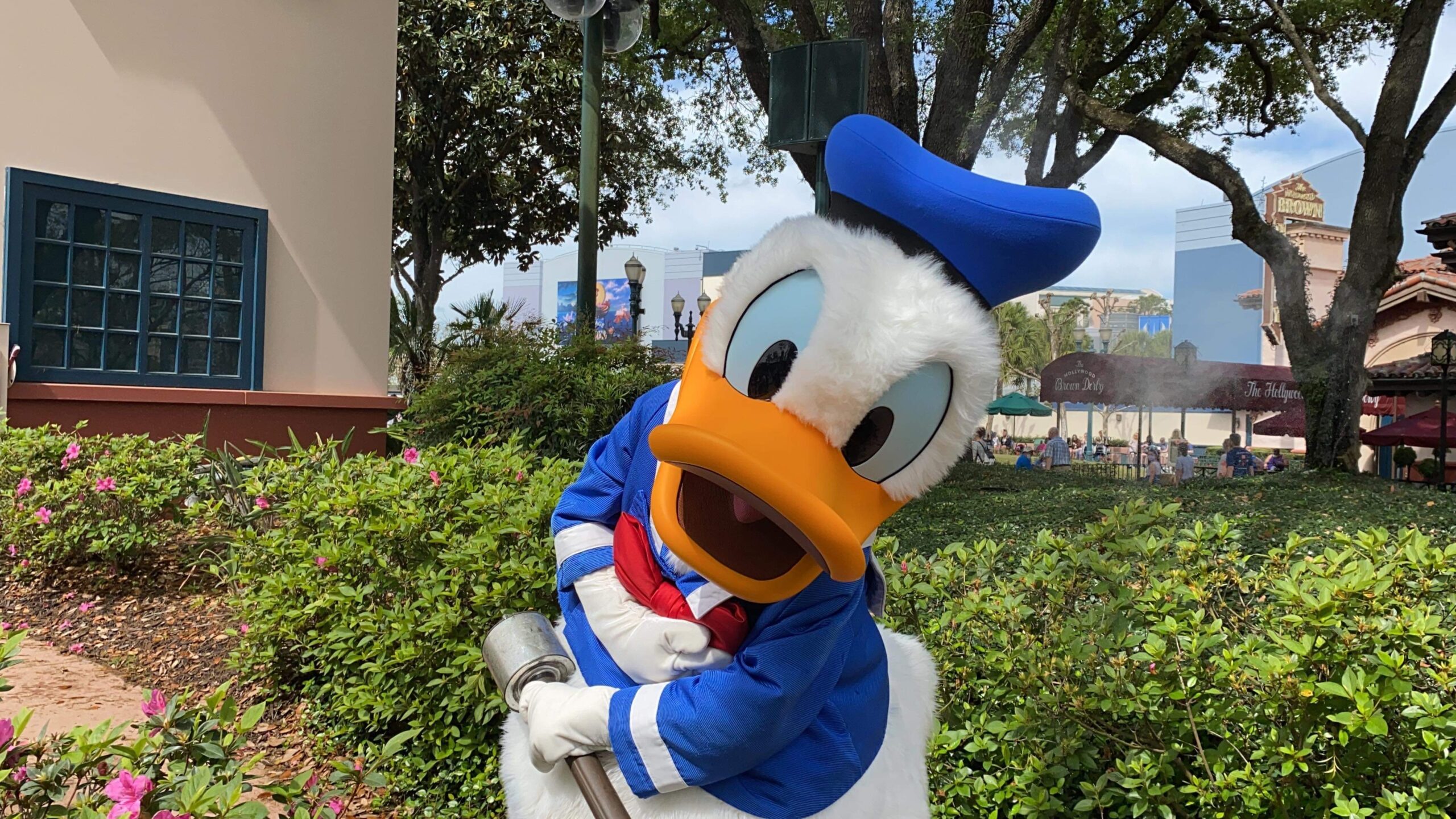 Donald Duck Hollywood Studios