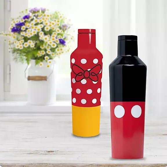 Sip in style With Disney Corkcicle Canteens