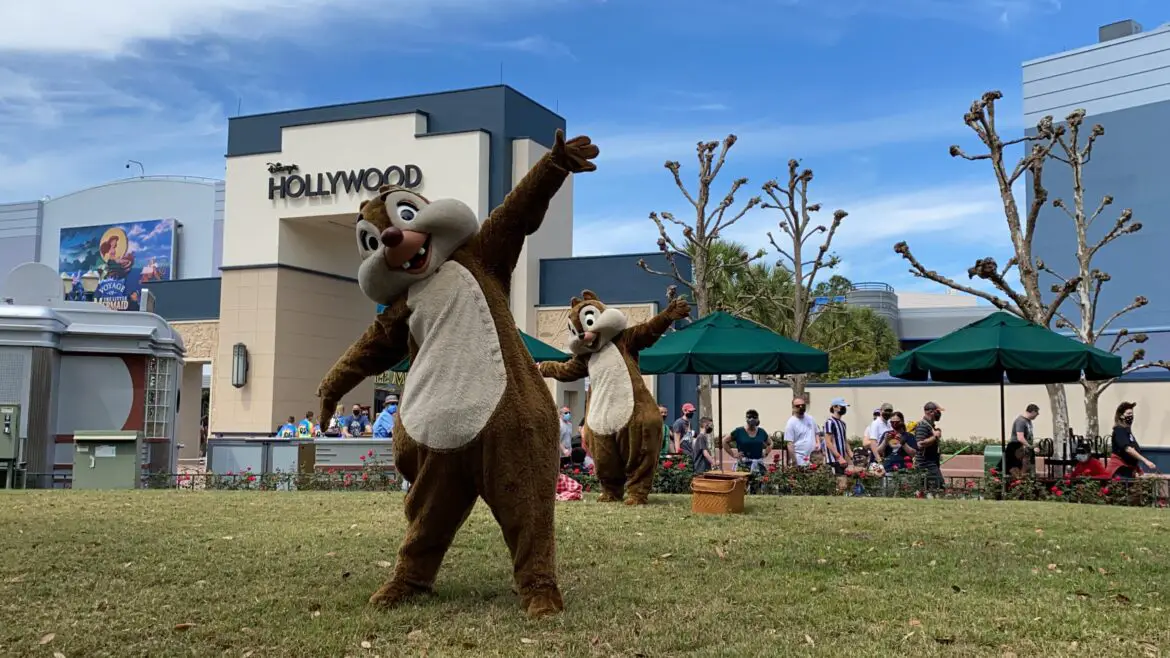 Have a picnic with Chip and Dale in Hollywood Studios