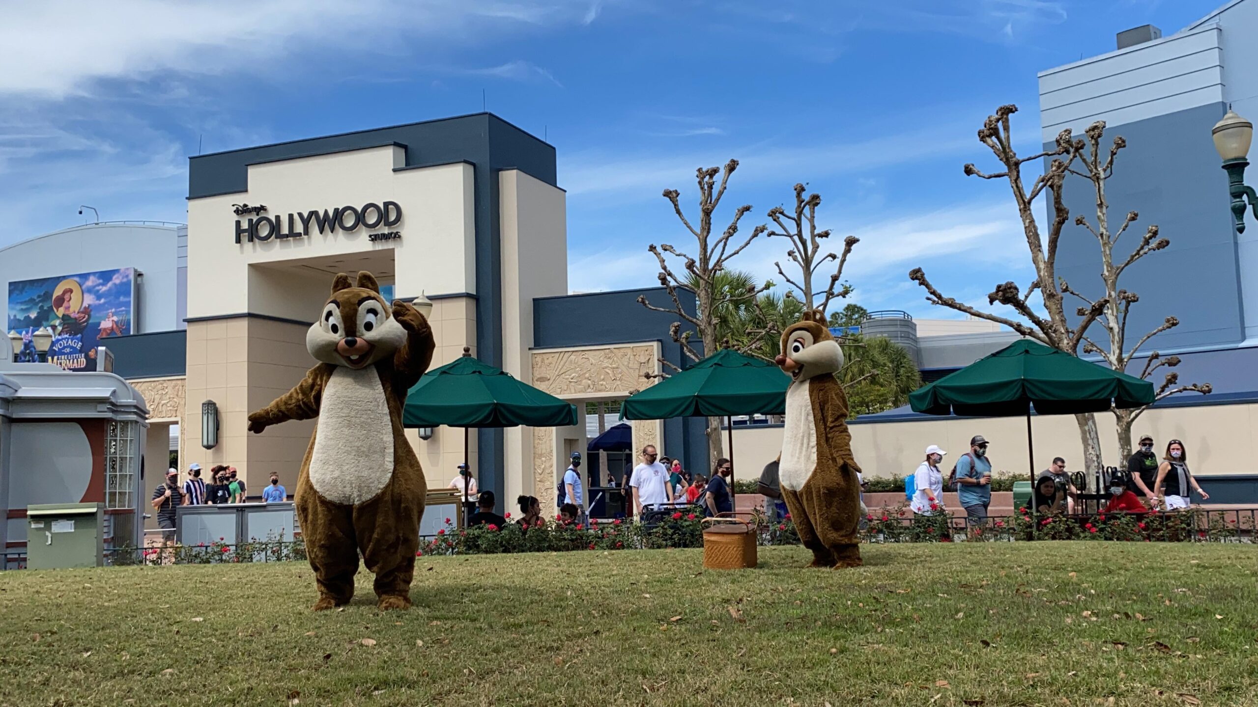 Have a picnic with Chip and Dale in Hollywood Studios