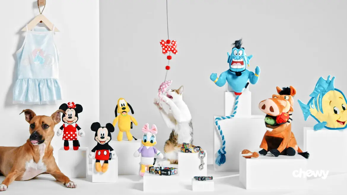 Disney Pet Collection From Chewy Is Fun And Magical