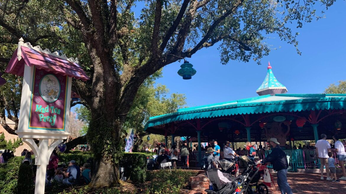 Mad Tea Party Reopens After Brief Refurbishment