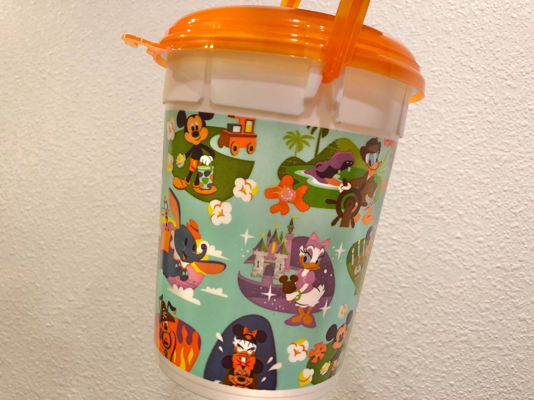 Disney Attractions Popcorn Bucket
