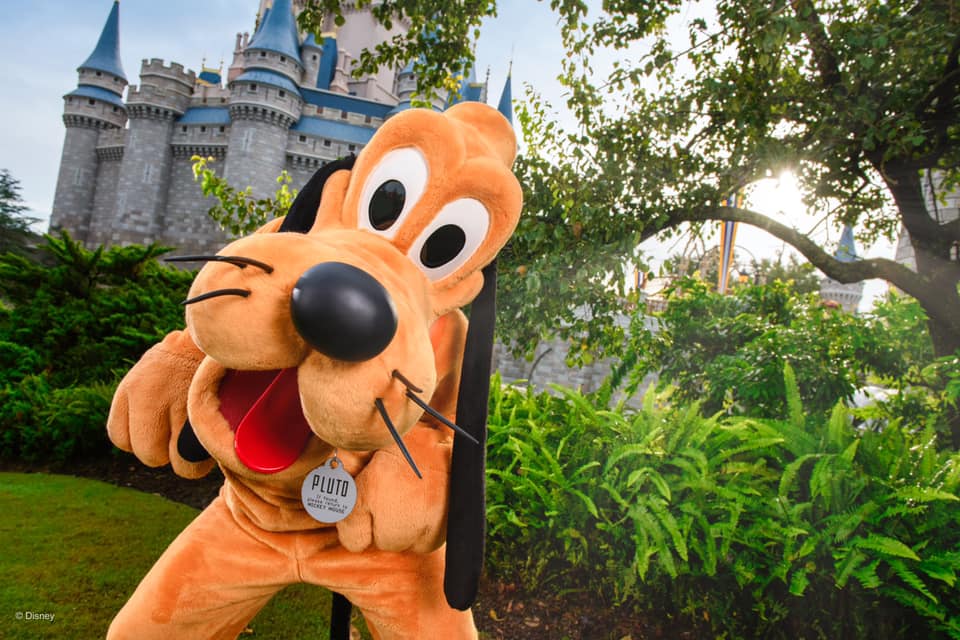 Guests allowed to remove Face Masks for Disney's Photopass Photos