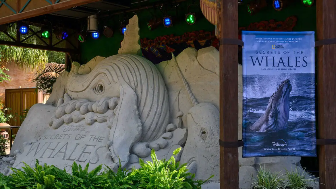 ‘Secrets of the Whales’ Sand Sculpture Splashes into Disney’s Animal Kingdom
