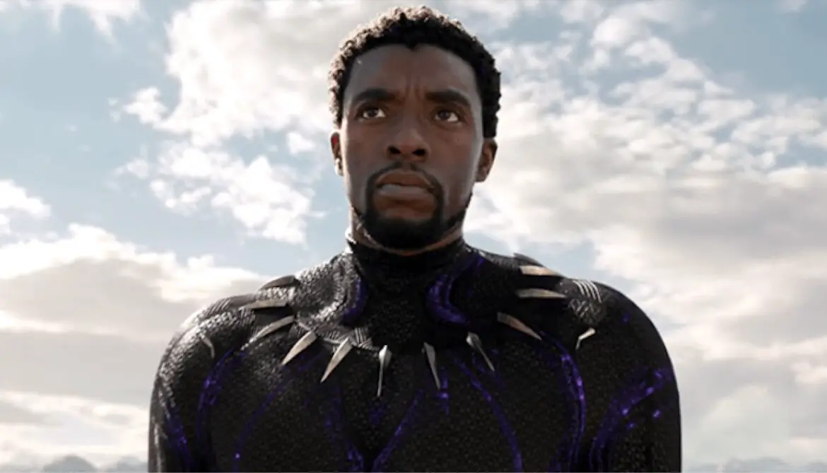 Anthony Mackie Says Marvel Can Never Recast Chadwick Boseman’s Black Panther