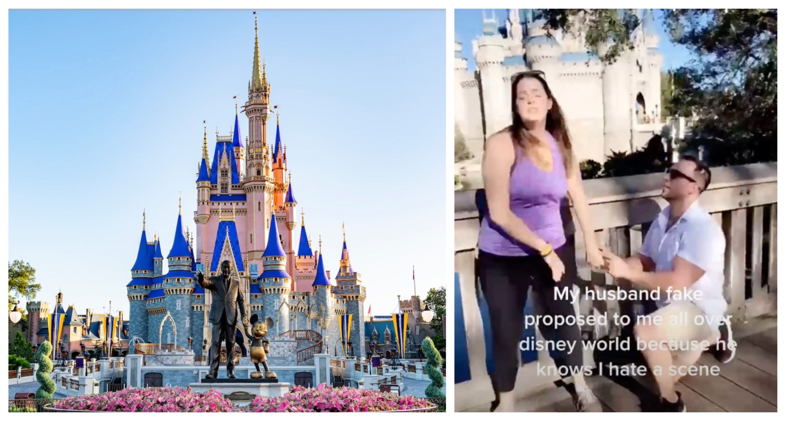 Husband Embarrasses Wife by Proposing to her all over Walt Disney World