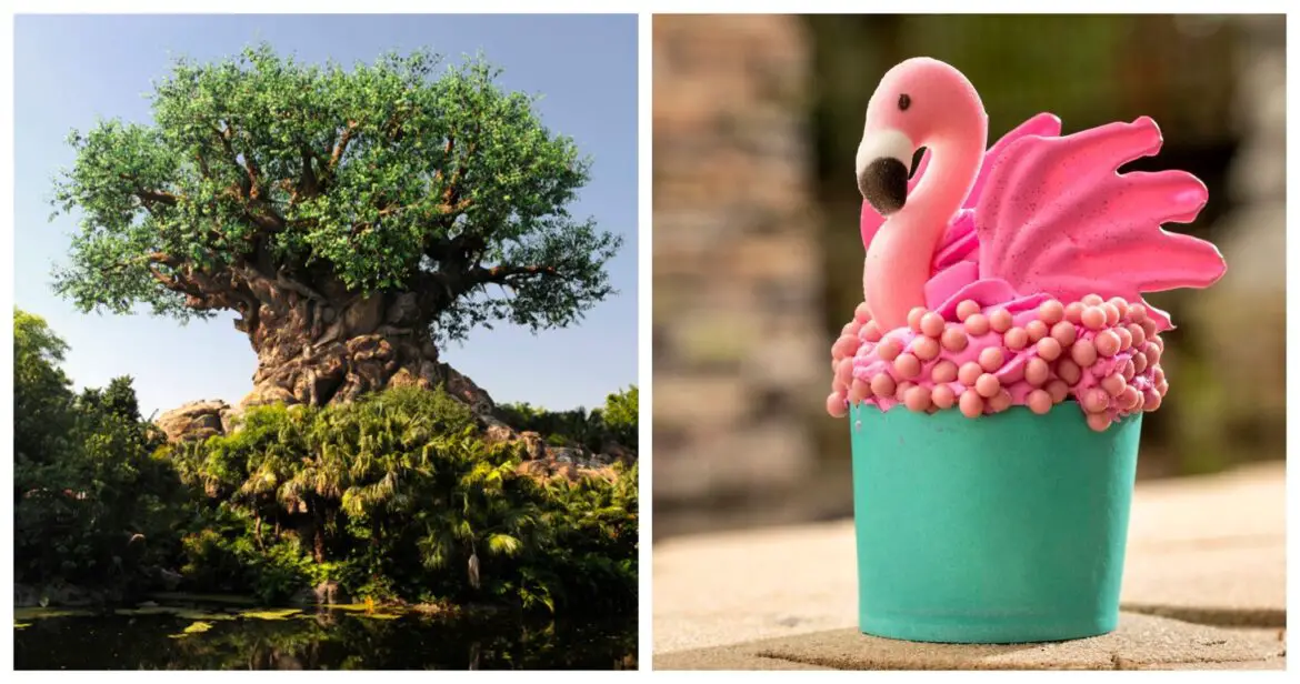 Must try this Flamingo Cupcake from Disney’s Animal Kingdom