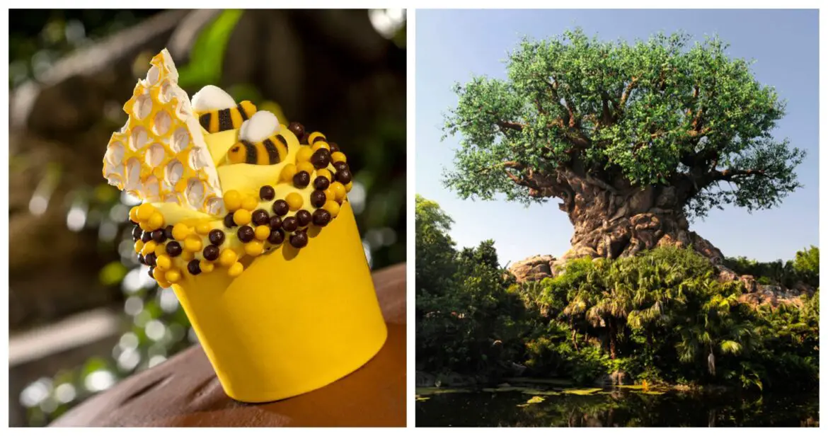 Honey Bee Cupcake From Creature Comforts At Disney’s Animal Kingdom
