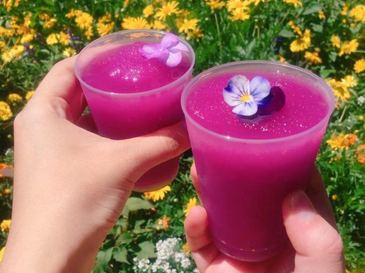Learn How To Make A Violet Lemonade From The Flower & Garden Festival!